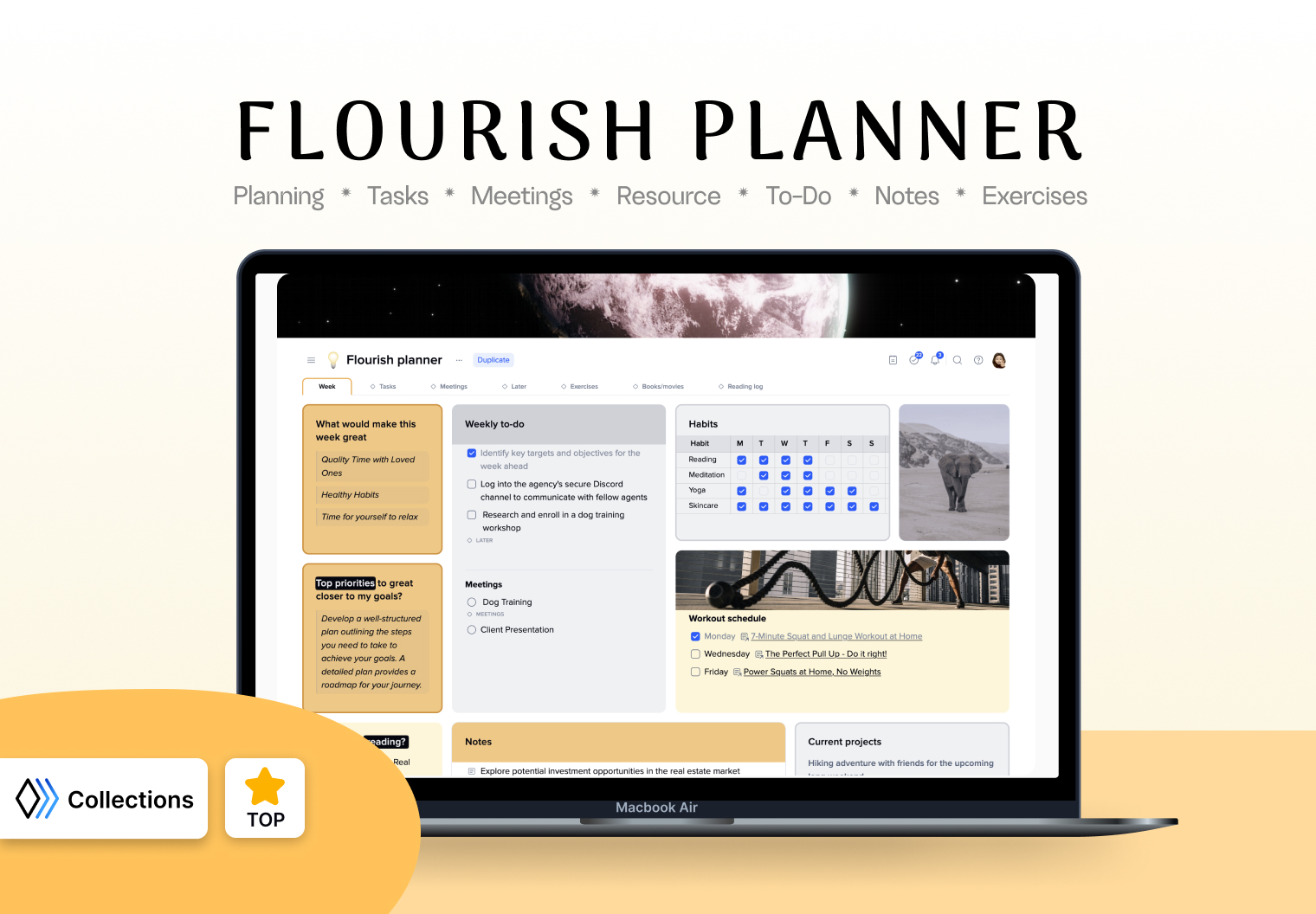 📅 Best Online Daily and Weekly Planners Template for Efficient Work and